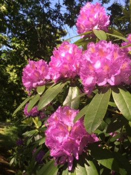 Huder Gartenerlebnisse