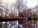 Der englische Landschaftspark