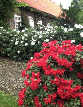 Der englische Landschaftspark