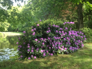 Landschaftspark