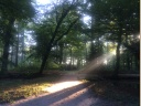 Der englische Landschaftspark