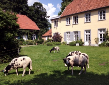 Land- und Forstwirtschaft Land- und Forstwirtschaft