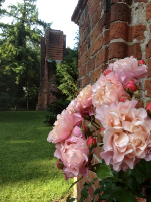 Klosterruine Hude Klosterruine Hude